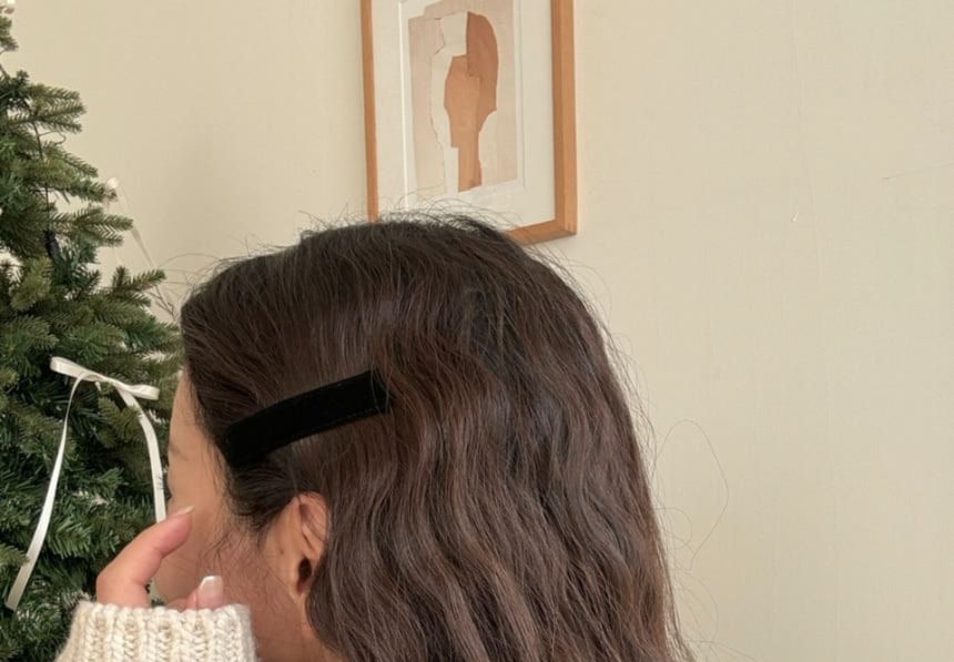Velvet Hair Plain Clip