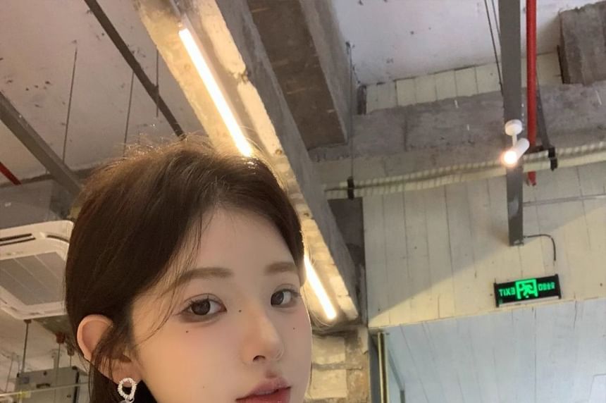Disc Dangle Earring