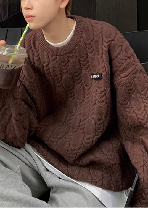 Einfache Apricot O Neck Dicke Zopfmuster Herren Pullover Herbst QH033