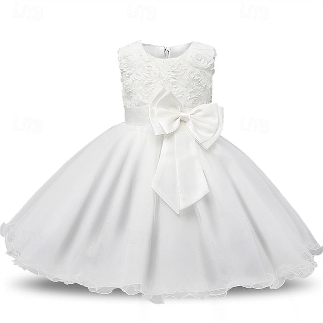 Dress Princess Flower Girl Kid's Girls'
