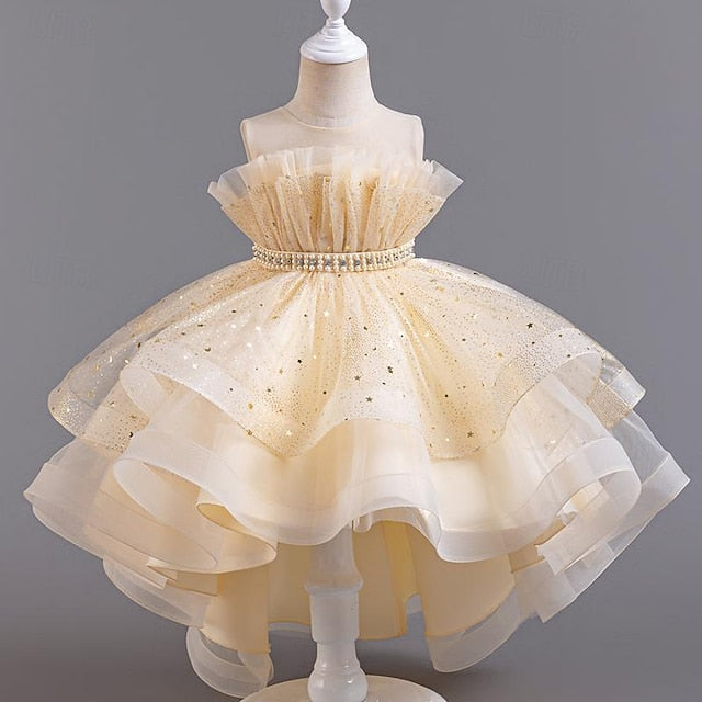 Flower Sequin Party Kids Girl Sleeveless Girls' Dress