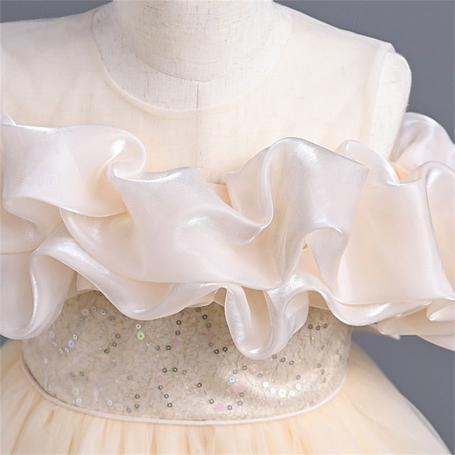 Party Kids Girls' Dress Color Solid Flower Girl