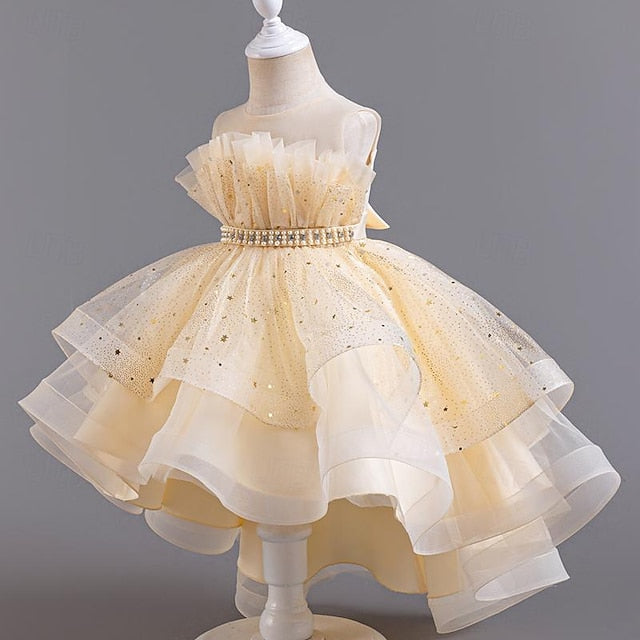 Flower Sequin Party Kids Girl Sleeveless Girls' Dress