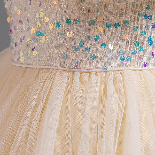 Flower Kids Girls' Dress Sequin Party Sleeveless Girl