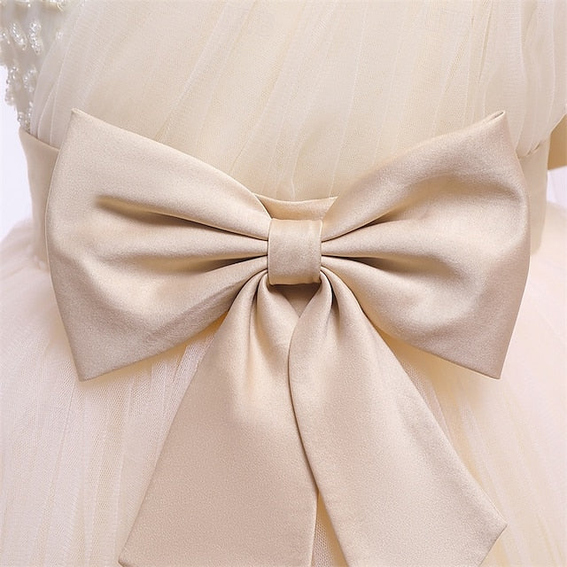 Flower Girl Kid's Princess Girls' Dress