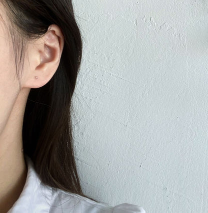 Pole (various / designs) Earring Set