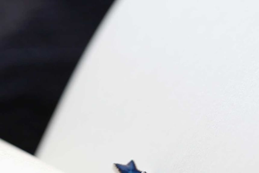 Star Stud Earring