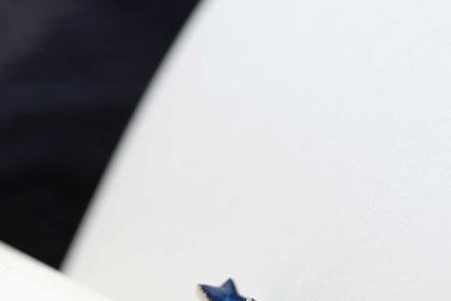 Star Stud Earring