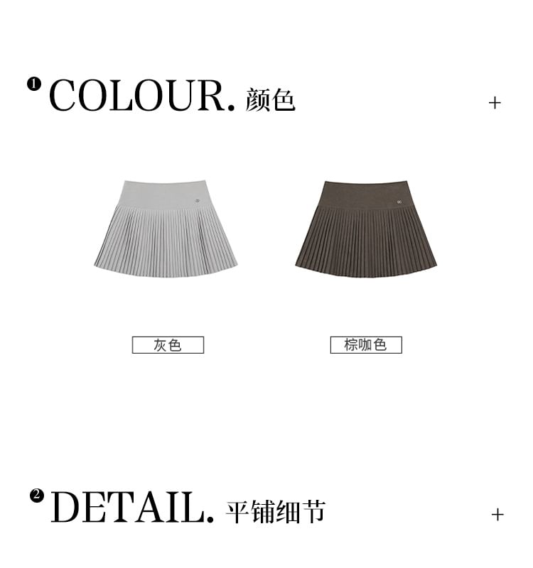 High-Rise Plain Accordion Pleat Skirt