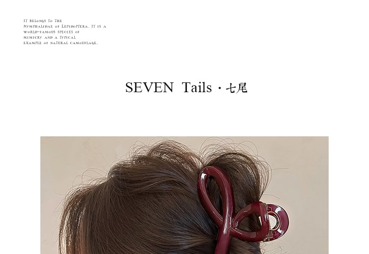 Hair Claw Acrylic Clip