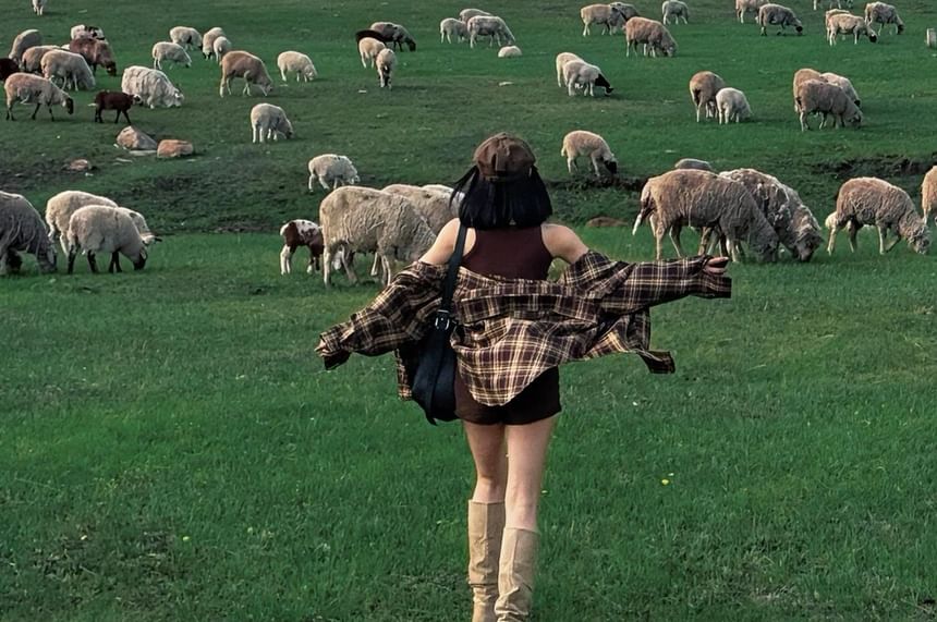 Crew Neck Plain Crop Tank Top / High Waist Shorts / Long-Sleeve Plaid Shirt / Set