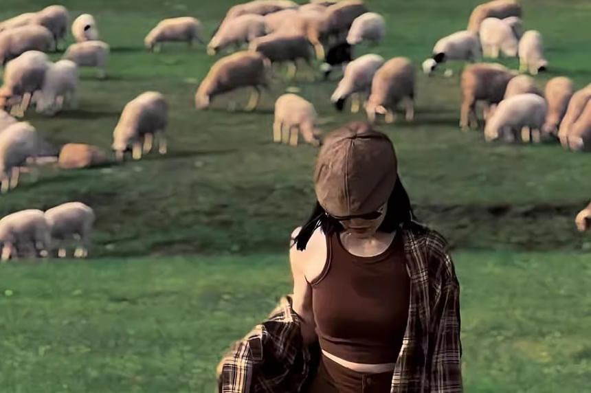 Crew Neck Plain Crop Tank Top / High Waist Shorts / Long-Sleeve Plaid Shirt / Set