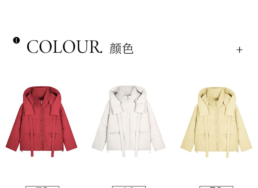 Stand Collar Plain Bear Ear Hood Zip Puffer Jacket