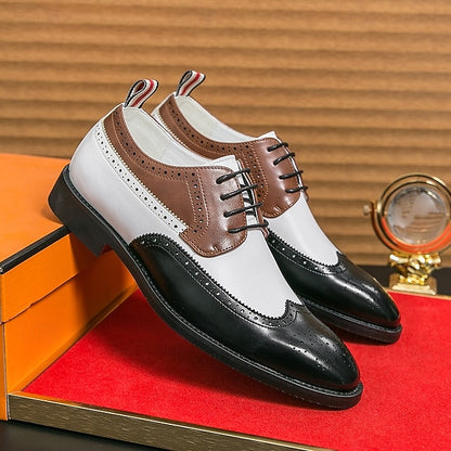 Shoes Men's Dress Wingtip Brown with and Oxford White