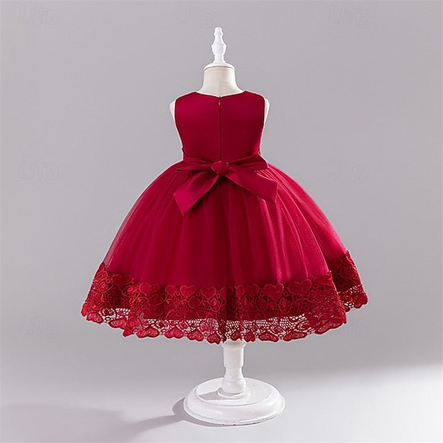 Girl Kid's Dress Flower Girls' Princess