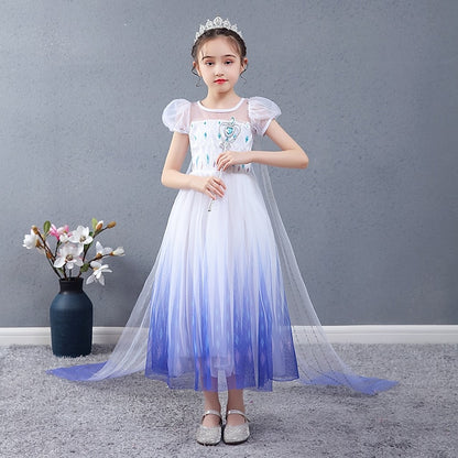 Princess Girl Elsa Movie Dress Cosplay Flower Girls'