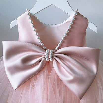 Dress Flower Princess Kid's Girl Girls'