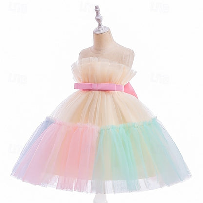 Princess Girls' Flower Girl Kid's Dress