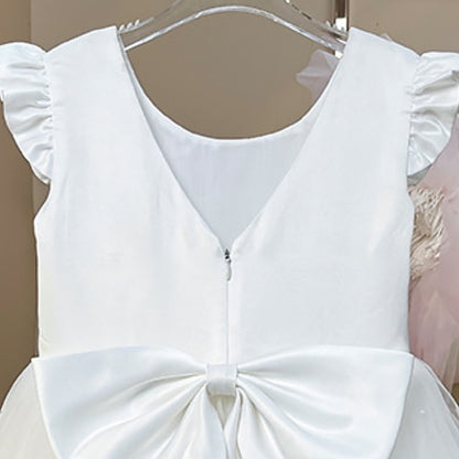 Flower Princess Girl Girls' Communion Dress First