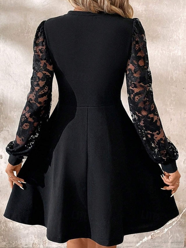 Women's Mini Dress Black Dress Lace Dress Elegant Modern