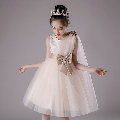 Princess Kid's Girls' Dress Flower Girl