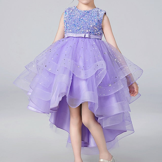 Princess Party Girl Dress Girls' Flower