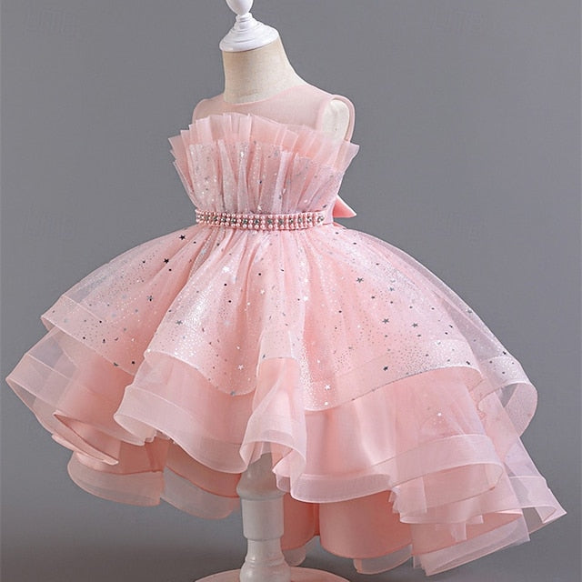 Girl Girls' Kid's Flower Princess Dress