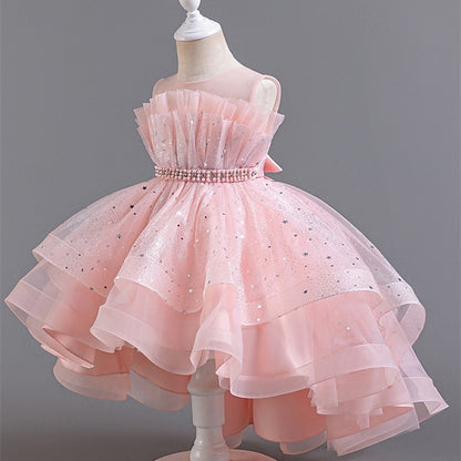 Girl Girls' Kid's Flower Princess Dress