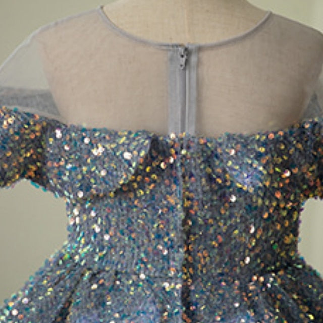 Girl Party Flower Dress Girls' Evening Gown