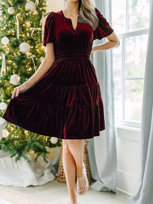 Women's Mini Dress Christmas Dress Velvet Dress Party Dress