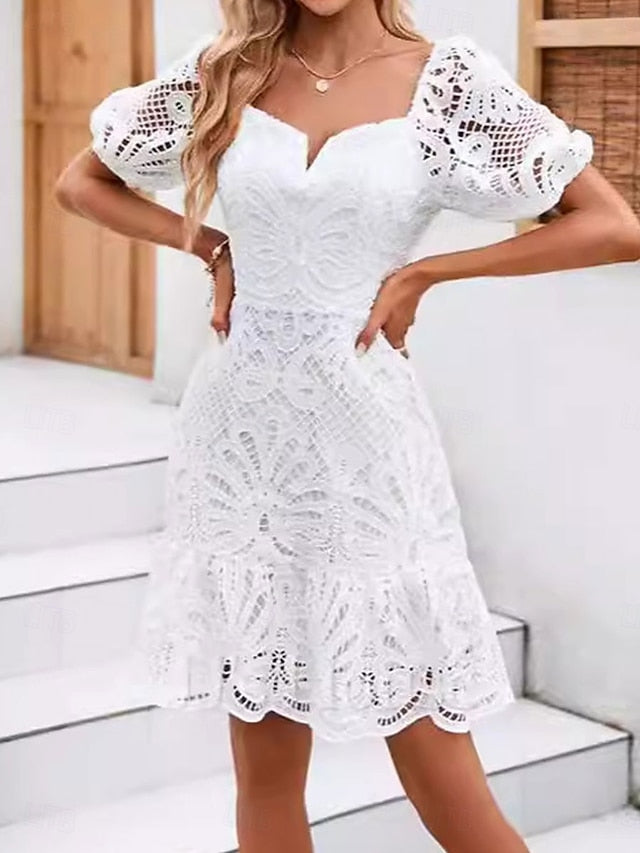 Women's Mini Dress A Line Dress Summer Dress Eyelet Dress