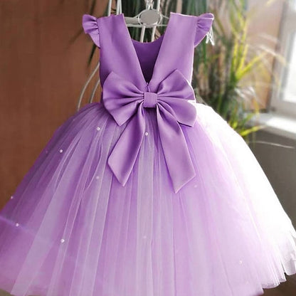 Flower Princess Girl Girls' Communion Dress First