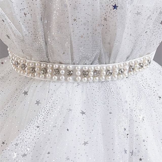 Girl Girls' Kid's Flower Princess Dress