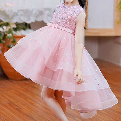 Princess Party Girl Dress Girls' Flower