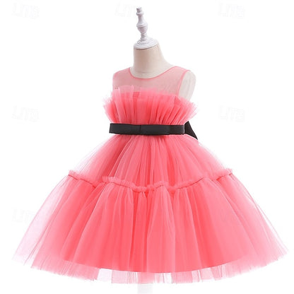Princess Girls' Flower Girl Kid's Dress