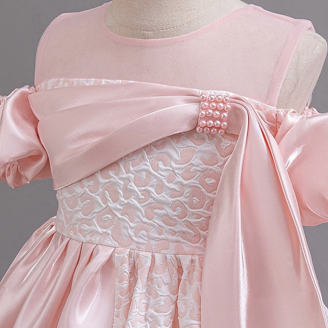 Wedding Girl Party Girls' Formal Flower Dress