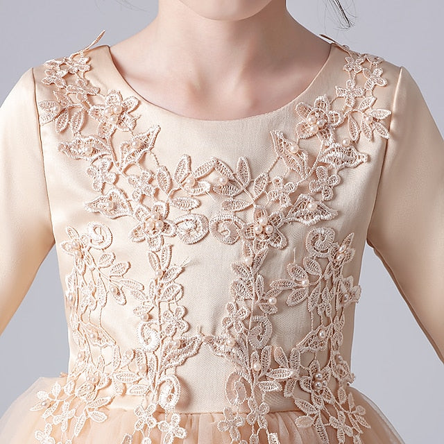 Girls' Girl Flower Princess Party Dress