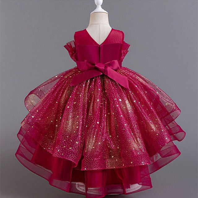 Girl Girls' Kid's Flower Princess Dress