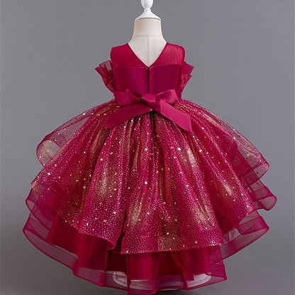 Girl Girls' Kid's Flower Princess Dress