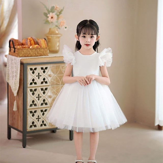 Flower Girls' Princess Kid's Dress Girl
