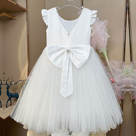 Flower Princess Girl Girls' Communion Dress First