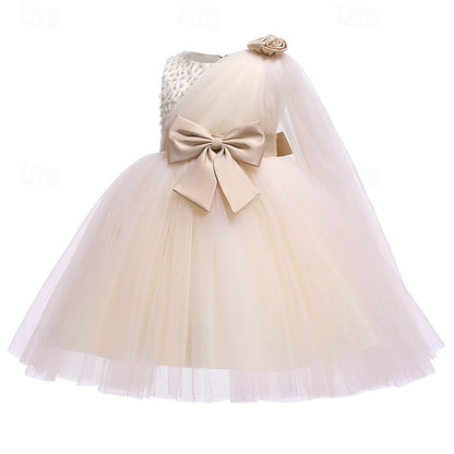 Princess Kid's Girls' Dress Flower Girl