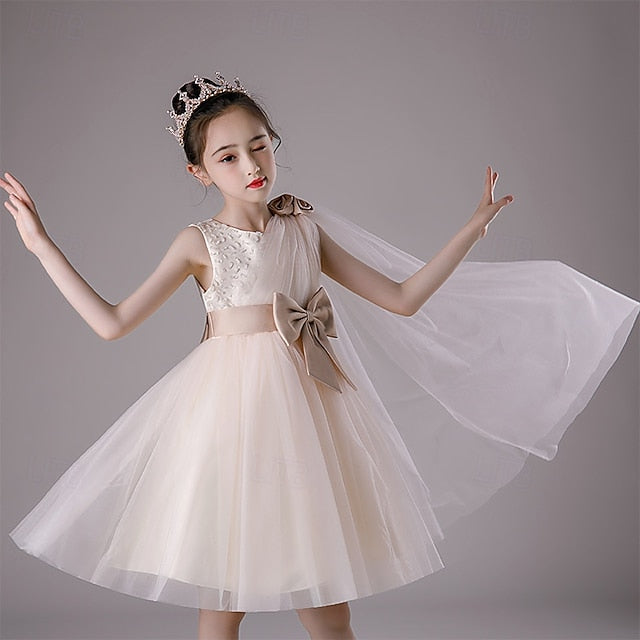 Flower Girl Kid's Princess Girls' Dress