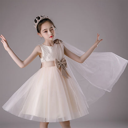 Flower Girl Kid's Princess Girls' Dress