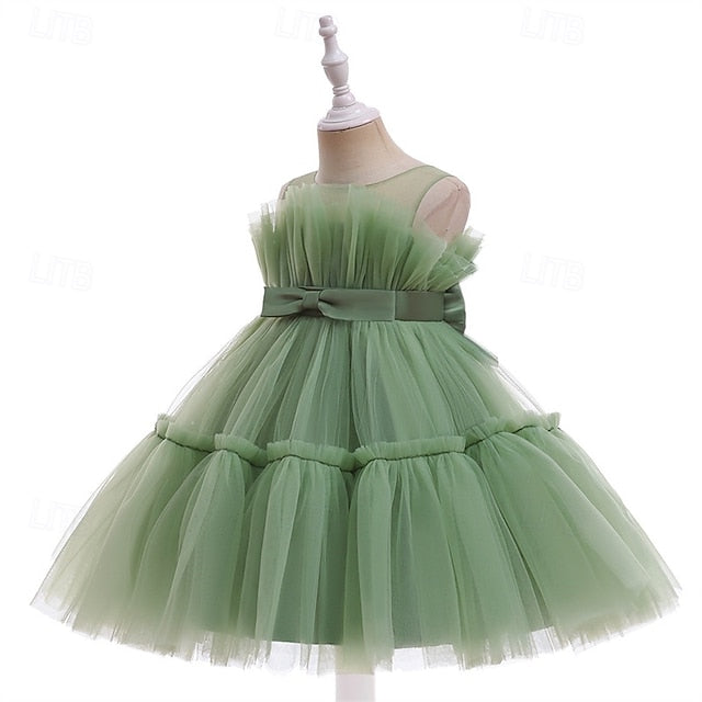 Princess Girls' Flower Girl Kid's Dress