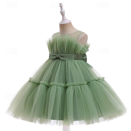 Princess Girls' Flower Girl Kid's Dress