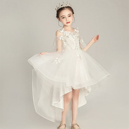 Flower Girls' Girl Kid's Dress Princess