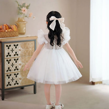 Flower Girls' Princess Kid's Dress Girl