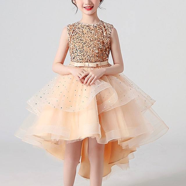 Princess Party Girl Dress Girls' Flower