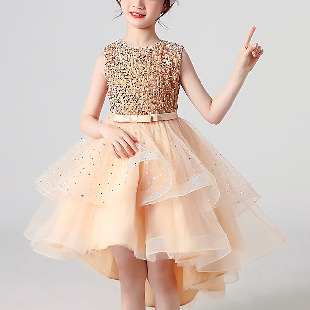 Princess Party Girl Dress Girls' Flower